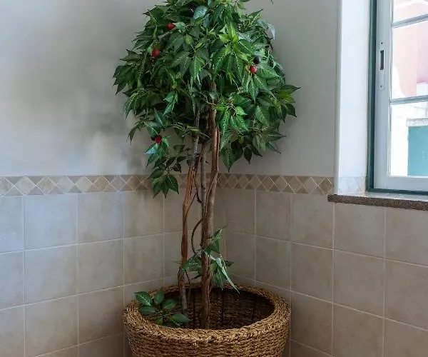 Privatunterkunft Berlenga House *