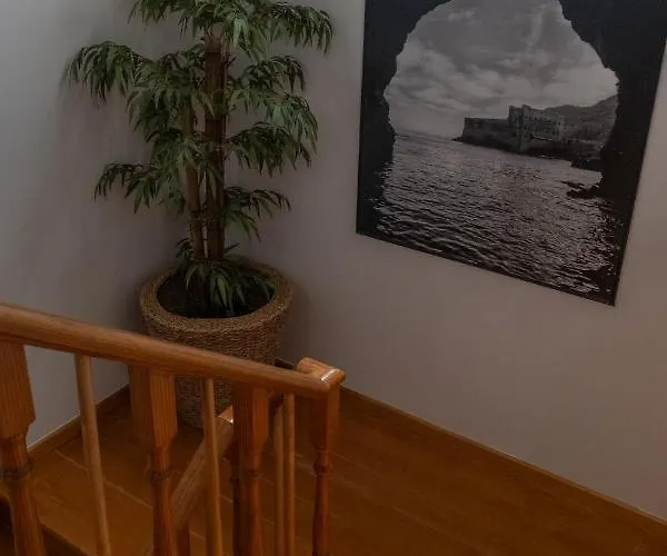 ホームステイ Berlenga House